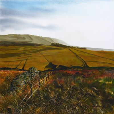 pennine moors