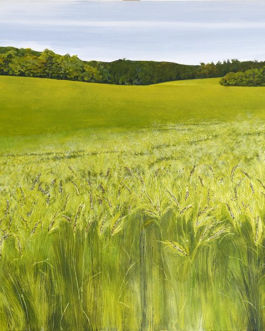 Fields of Barley