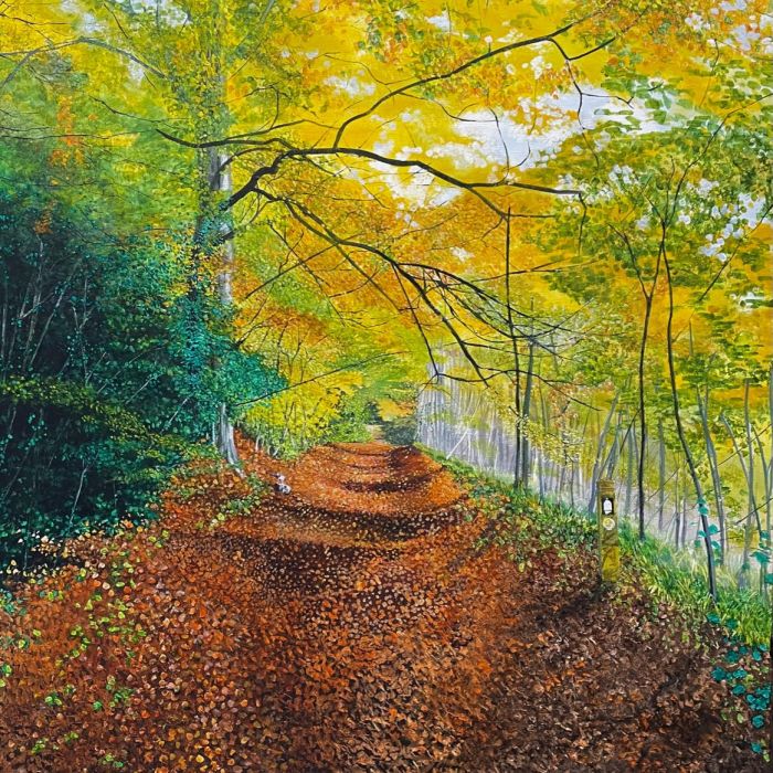 The Way in the Woods