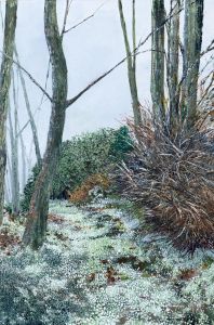 Cascade of Snowdrops