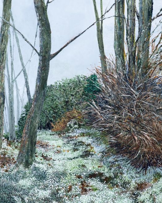 Cascade of Snowdrops