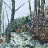 Cascade of Snowdrops