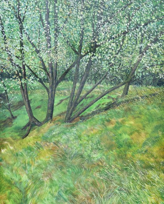 Clough Trees