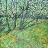 Clough Trees