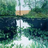 Pond