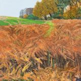 Bracken